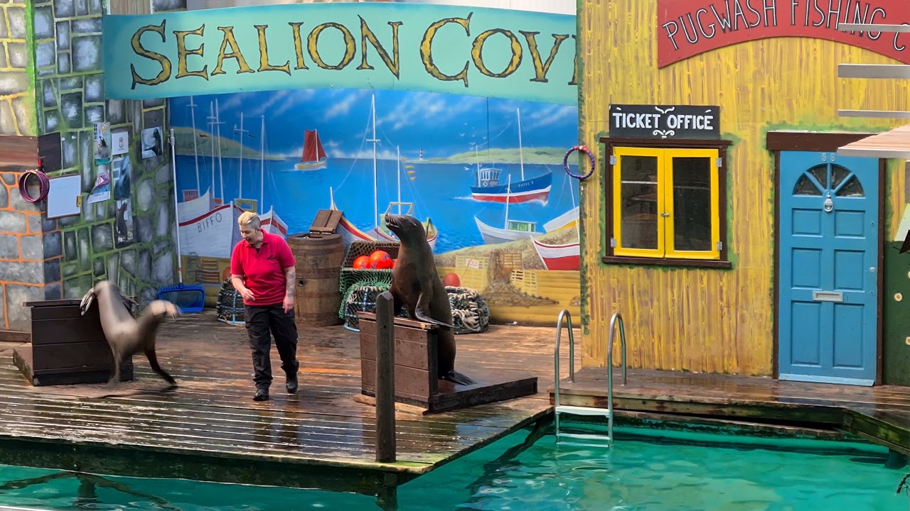 Knowsley Safari Park Sea Lion Show