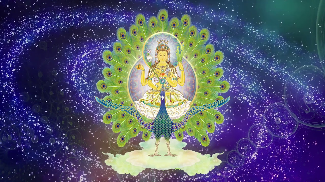 孔雀明王心咒  15分鐘  oṃ mayūrā-krānte svāhā