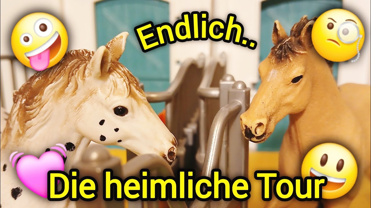 Schleich allein zu hause🤪💓🤠Schleich Pferde Film