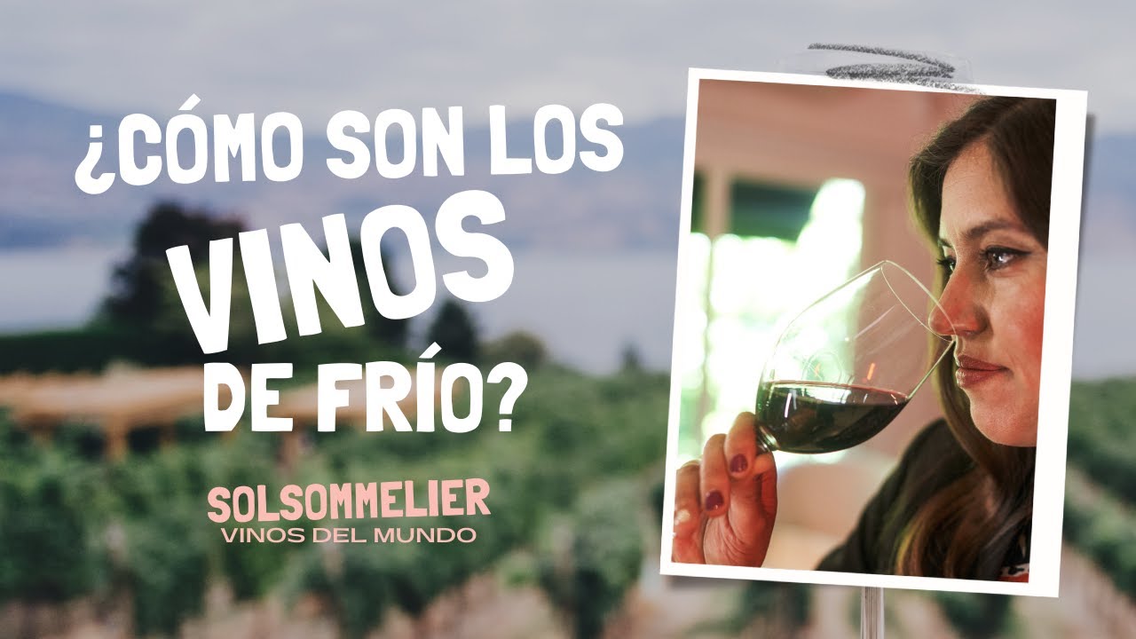 ¿Qué pasa con las uvas 🍇en los climas fríos ❄️?⁠