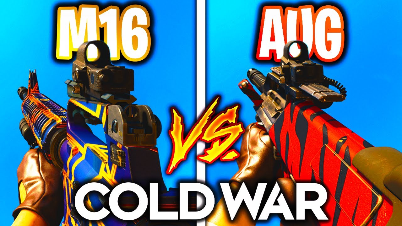 AUG vs. M16 Which 