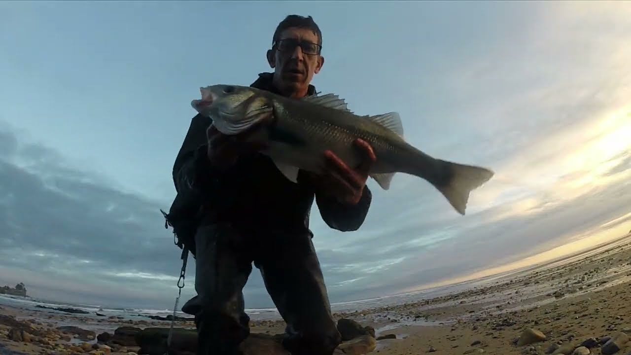 JORNADA DE SPINNING PLAYERO : ROBALO XL Y BAILA + YAMAGA BLANKS EARLY FOR SURF 103M + ROBALO XXL Y +