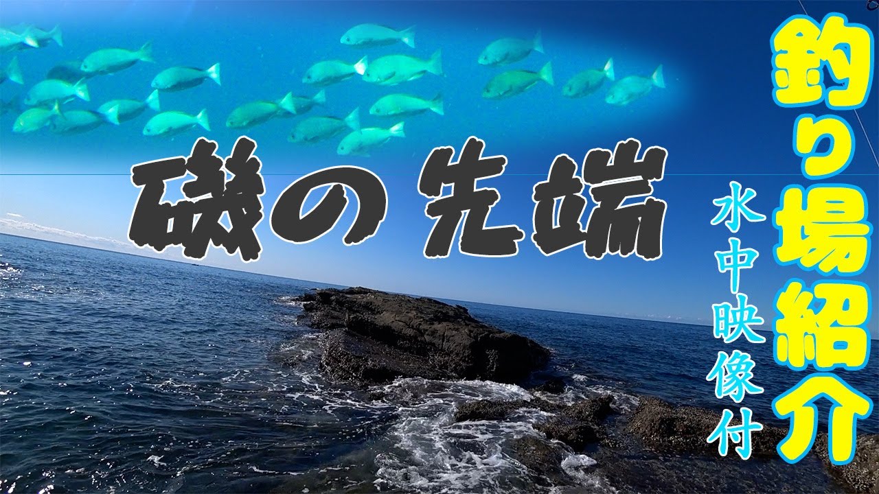 【釣り場紹介】和歌山県 白浜町【志原磯3.4】グレ、アオリイカ、アイゴ、ブダイ、ガシラ等が釣れるポイント　水中映像有り