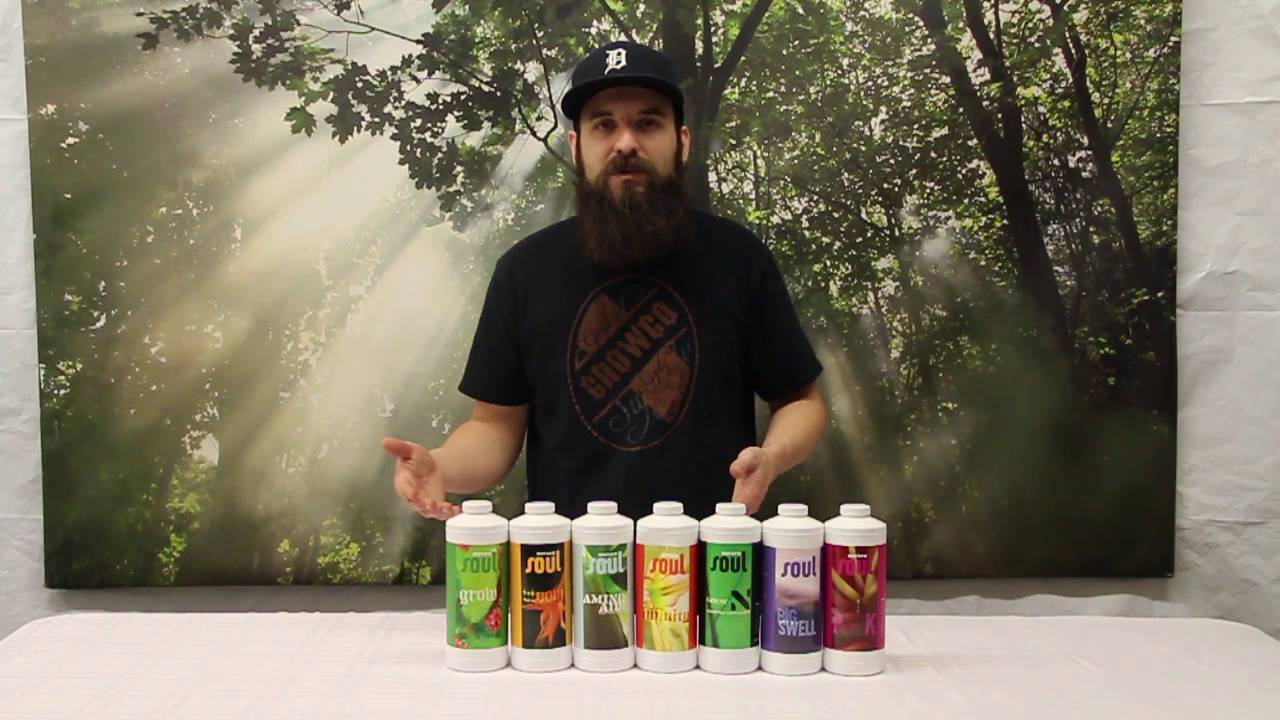 Soul Synthetics Nutrient Review