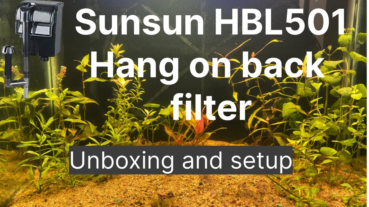 Unboxing and setup SUNSUN HBL 501 hang on back filter in my planted tank