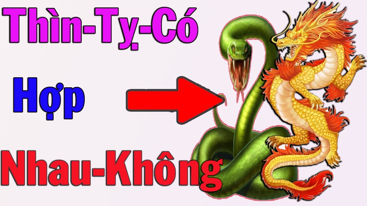 Người Tuổi Thìn Và Người Tuổi Tỵ      Người Tuổi Dần Tuổi Dậu Có Hợp Nhau Không