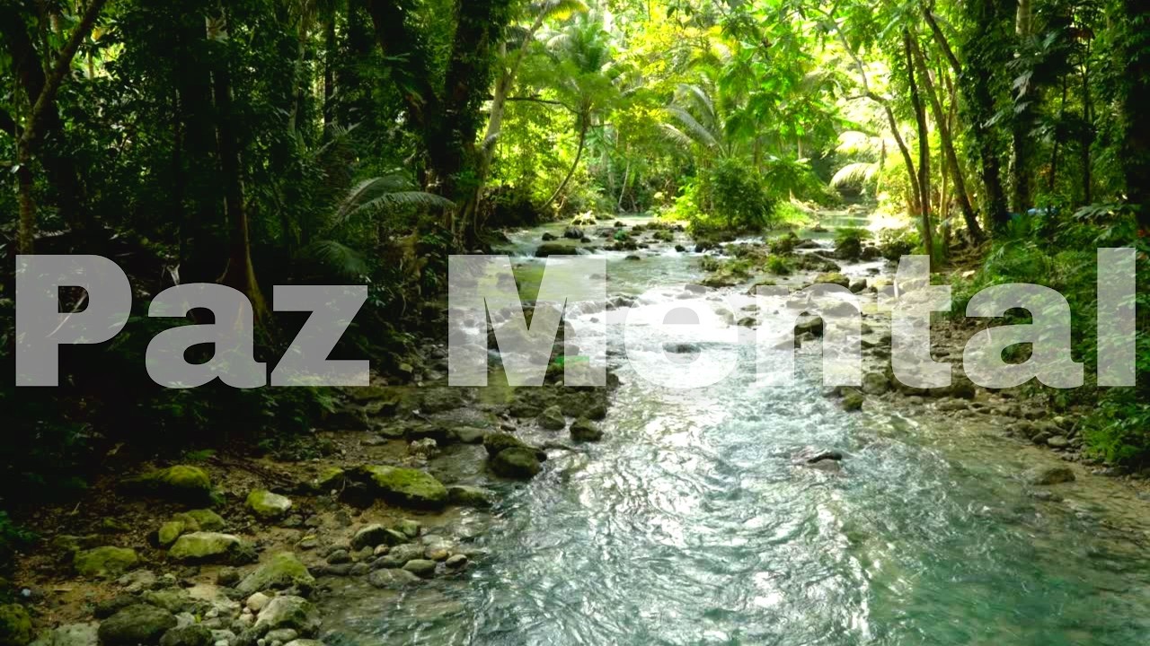 Inexplic&aacute;vel Paz, Ben&ccedil;&atilde;os e Cura | Musica e Sons da Natureza🌳🌿🍃 Para Dormir #1