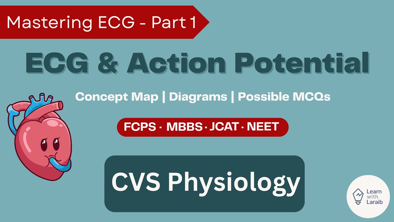 Understand ECG basics with Action Potential | Mastering ECG Pt 1 |FCPS MBBS NEET JCAT|CVS Physiology