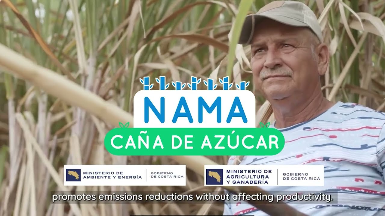 Informe de sostenibilidad 2024 - 2025