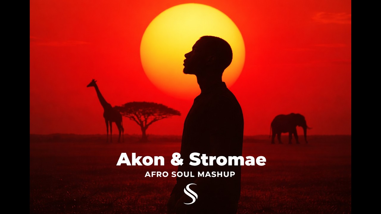 Akon & Stromae | Afro Soul Mashup ( Sonara )