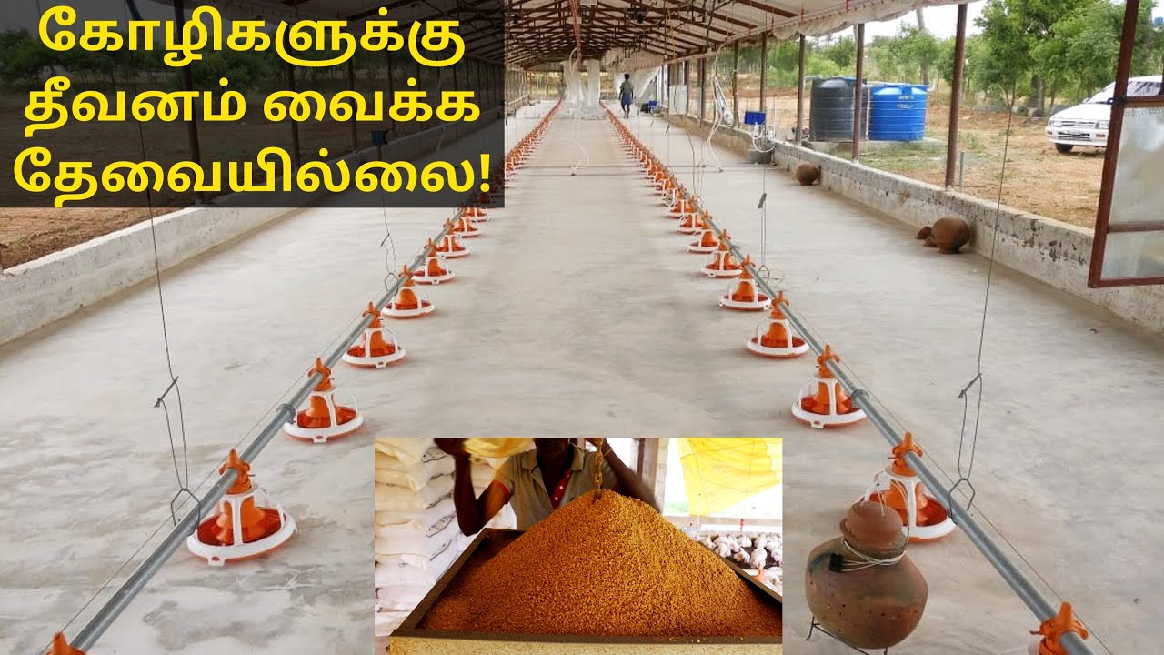 ஆட்டோமேட்டிக் தீவனம் வைக்கும் கருவி - Automatic Chicken Feeder