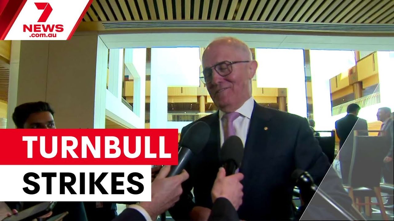 Turnbull slams Coalition at portrait unveiling | 7NEWS