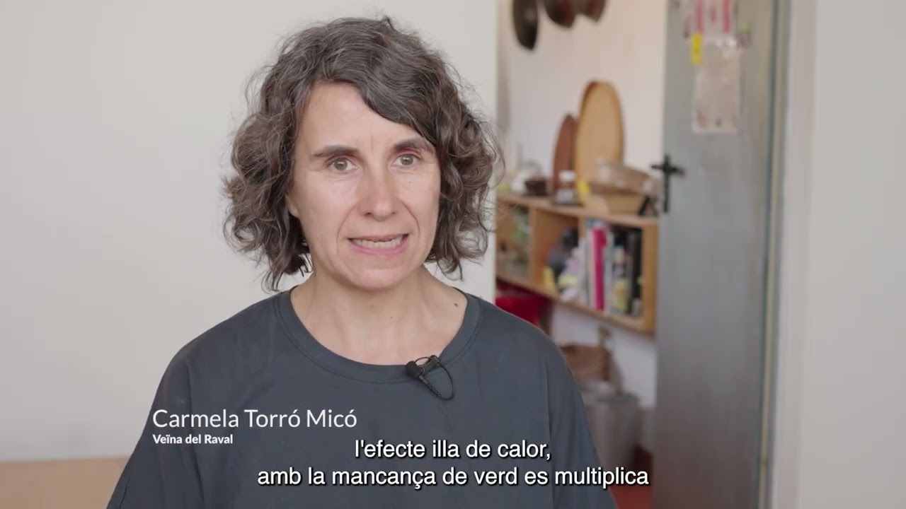 Projecte AmbientaMENT (versió curta)