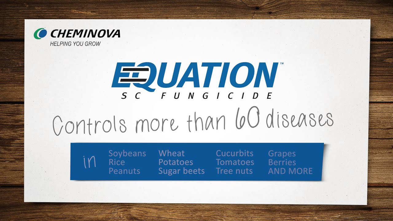 EQUATION&reg; SC Fungicide: Now you have a choice.