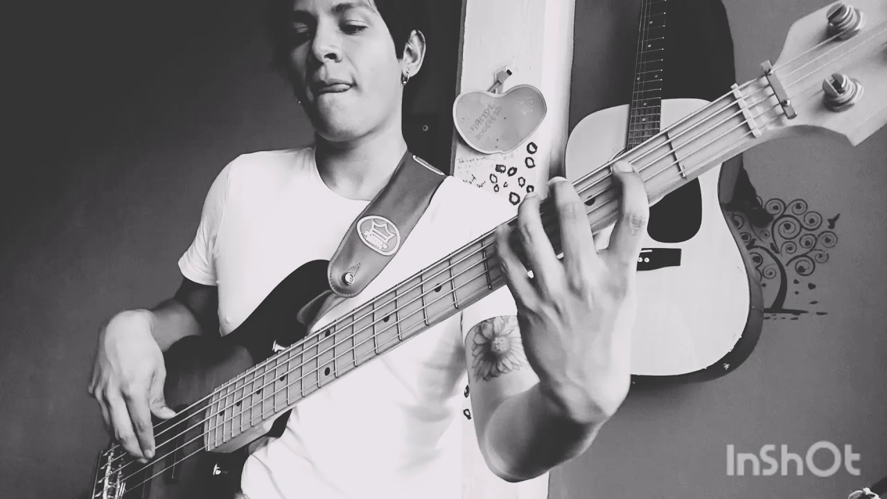 Panteón Rococó - Vendedora de caricias (Bass cover)