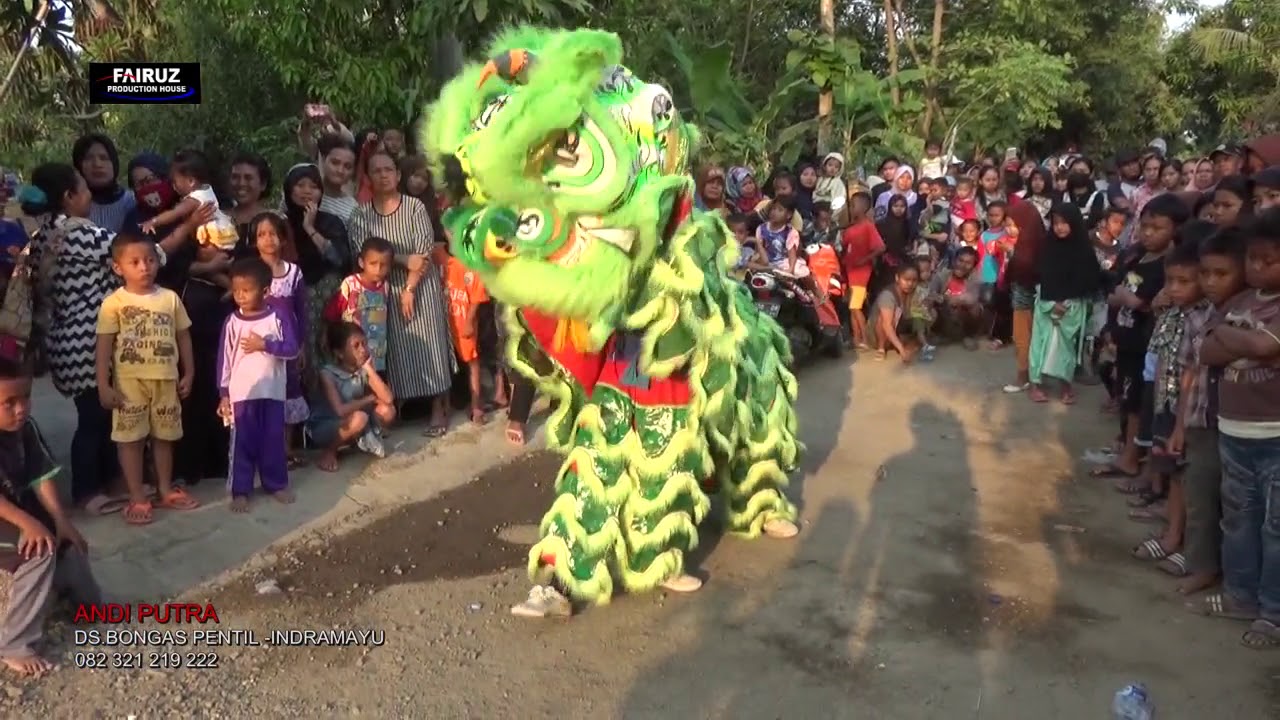 ANDI PUTRA 3  ATRAKSI BARONGSAI  PENGEN DISAYANG  ELI  DS WANGUK BLOK BUNUT TENGAH