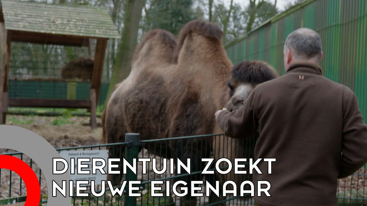 Richard zoekt nieuwe eigenaar voor zijn dierentuin