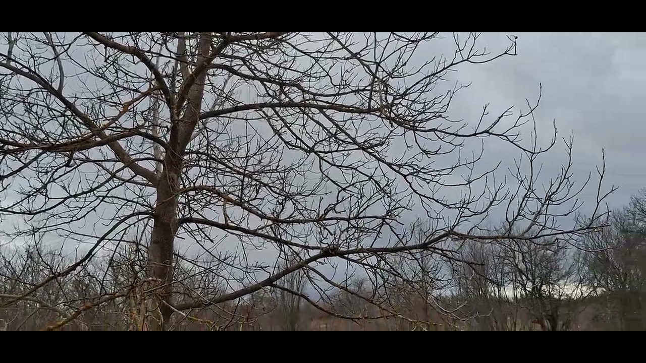 ХД (1967) ЗАТВАРЯНЕ И НА ДУХОВНИЯ ПОКРИВ І пастор Митко ДИМИТРОВ І МДМ