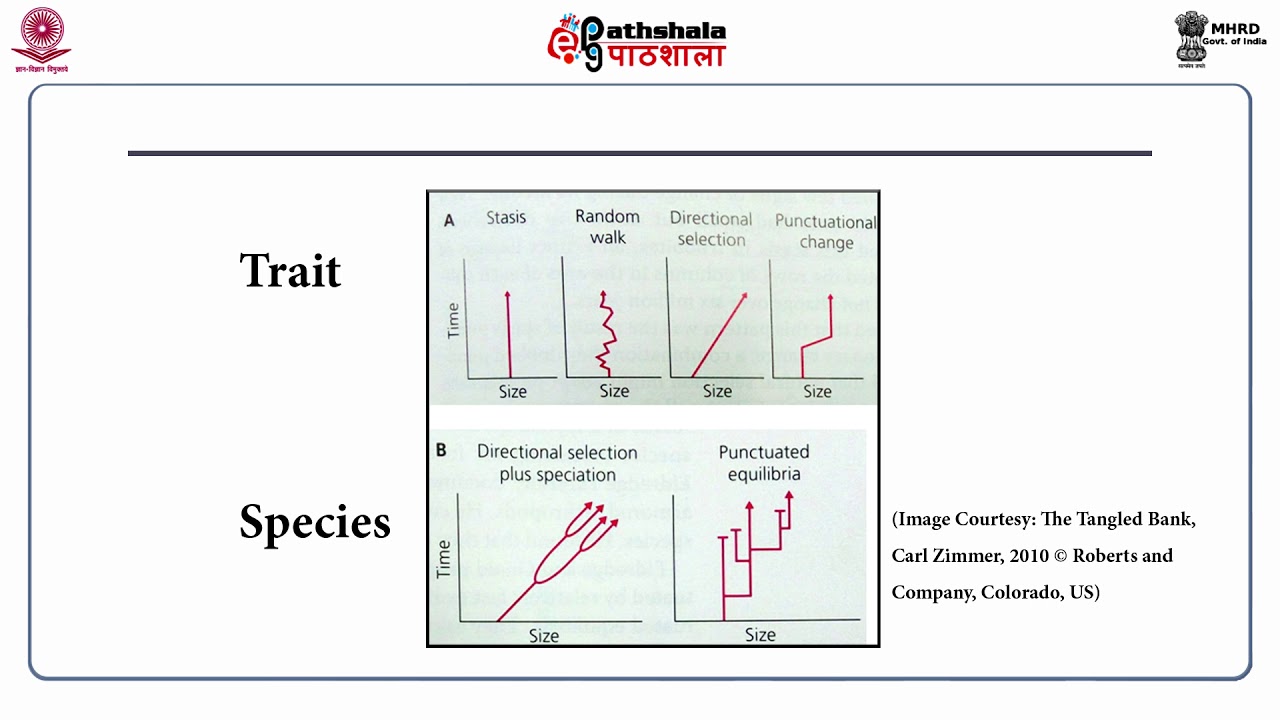 Temporal Patterns of Biodiversity: Ecological to Geological Scale