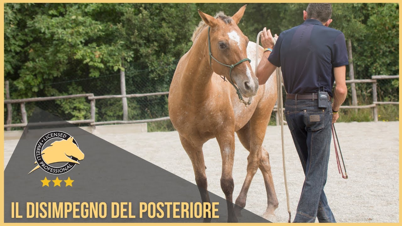 Il disimpegno dei posteriori: cos'è e a cosa serve