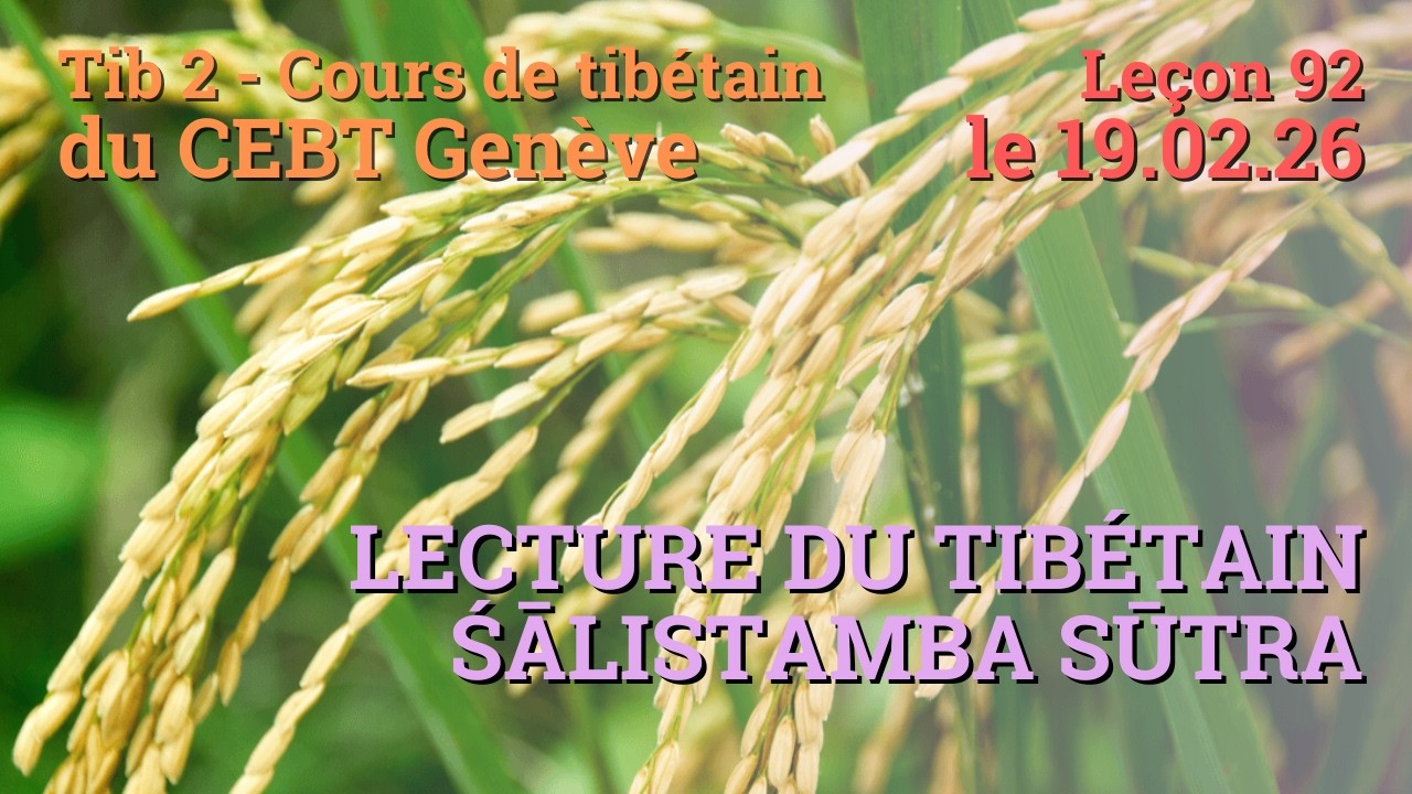 Tib 2 - Cours de tibétain ”pousse de riz” -  leçon 92, le 19.02.26
