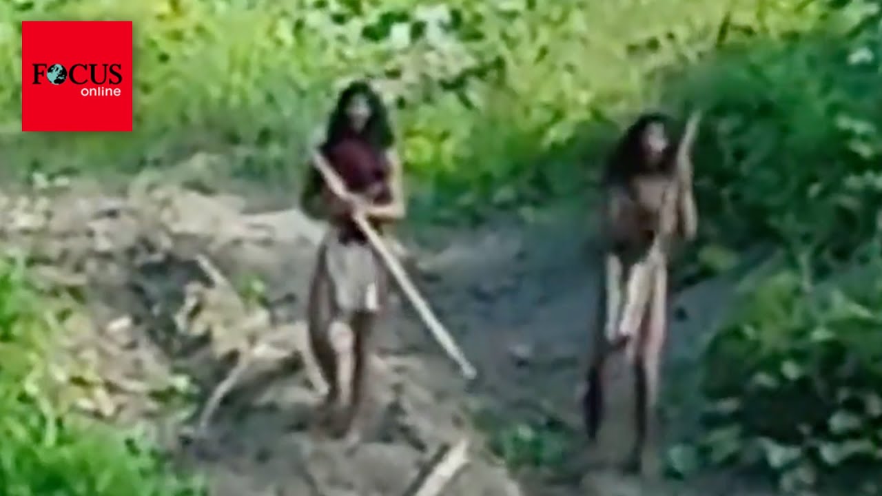 In Indonesien: Ver&auml;ngstigte Ureinwohner werden von Bulldozer verjagt