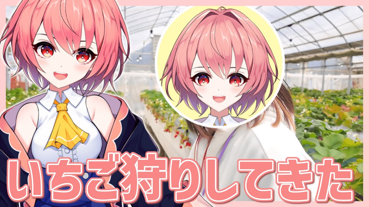ヒナルカでいちご狩り行ってきました！！【#新人vtuber】【#柊鳴ヒナ】