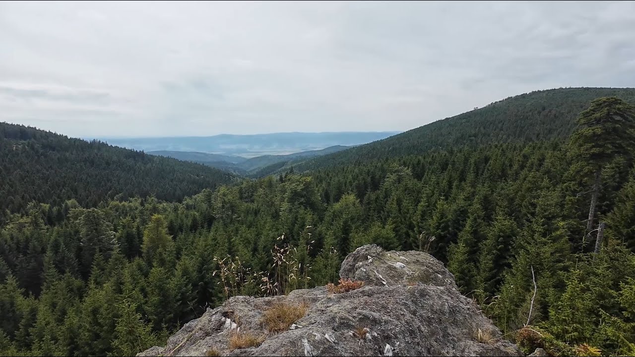 Masyw Śnieżnika poza szlakiem cz1