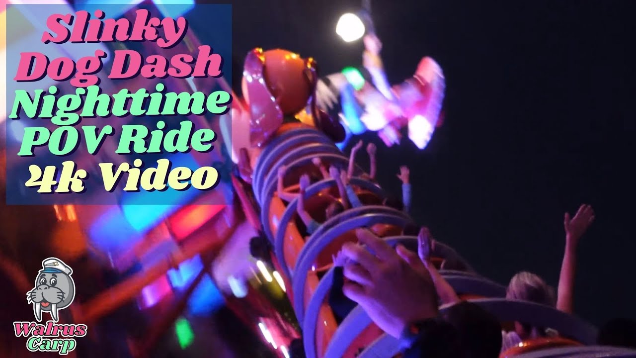 Slinky Dog Dash POV 4K Video Night time | Disney's Hollywood Studios | Disney World Ride | WDW Ride
