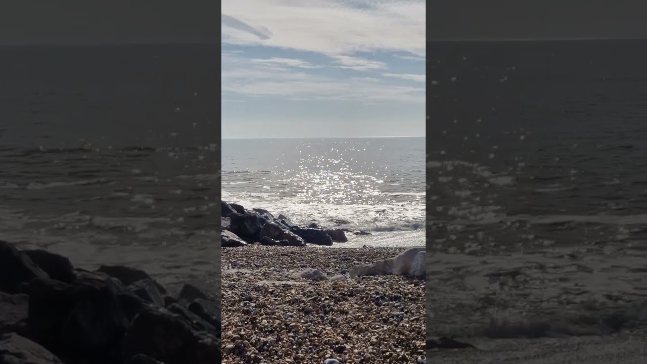 The seagull in his favorite place #Sea