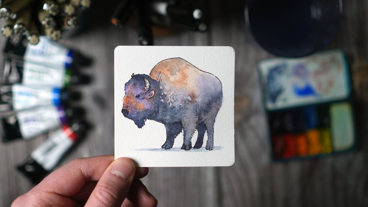 Американский бизон | Серия акварельных рисунков «Животные из приусадебного участка»