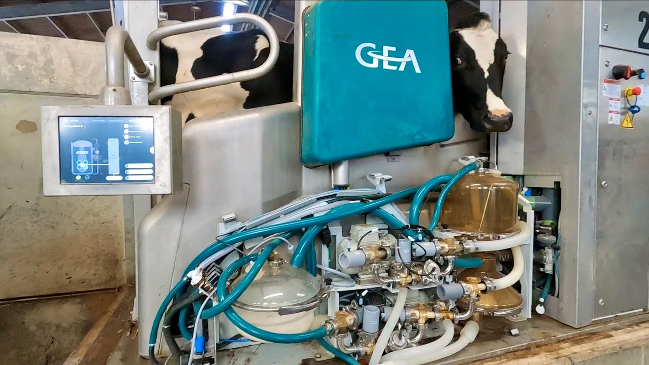 АВТОМОБИЛЬНАЯ ПОЕЗДКА, ЧТОБЫ УВИДЕТЬ РОБОТОВ GEA В ДЕЙСТВИИ. БУДУЩЕЕ ФЕРМЕРСТВА!!!