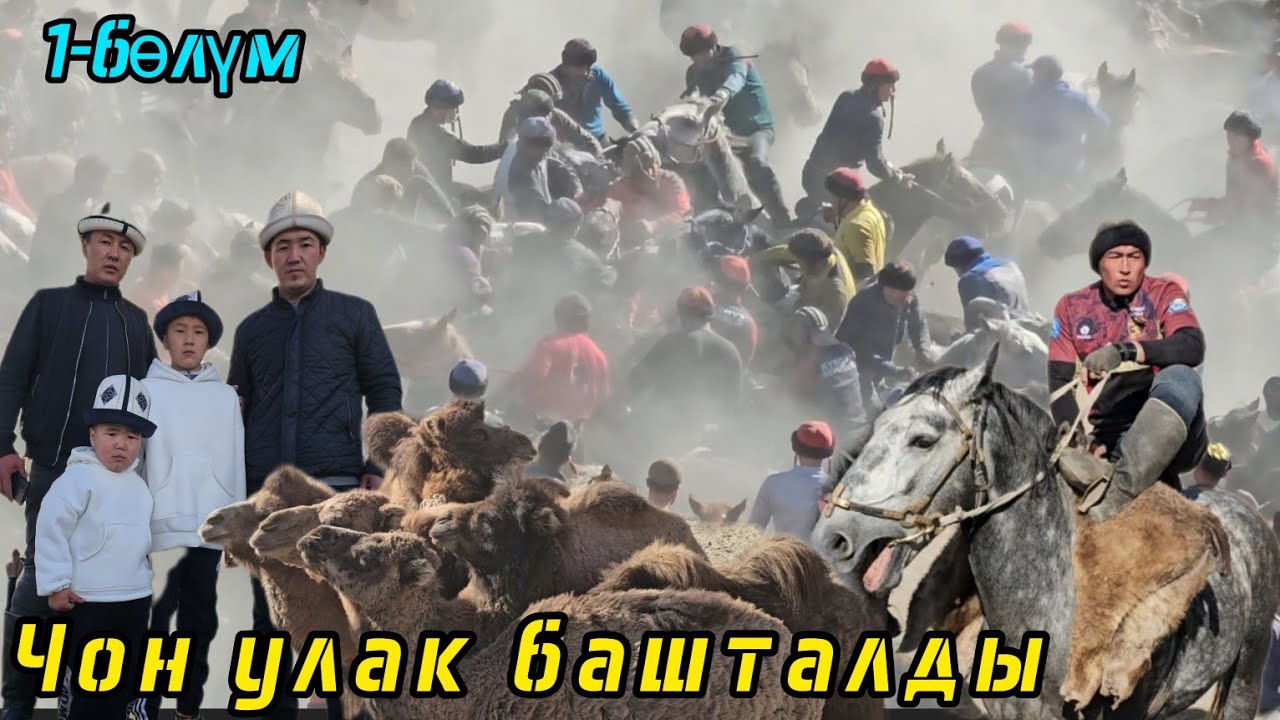 Ала Букадагы Аламан Улак.
