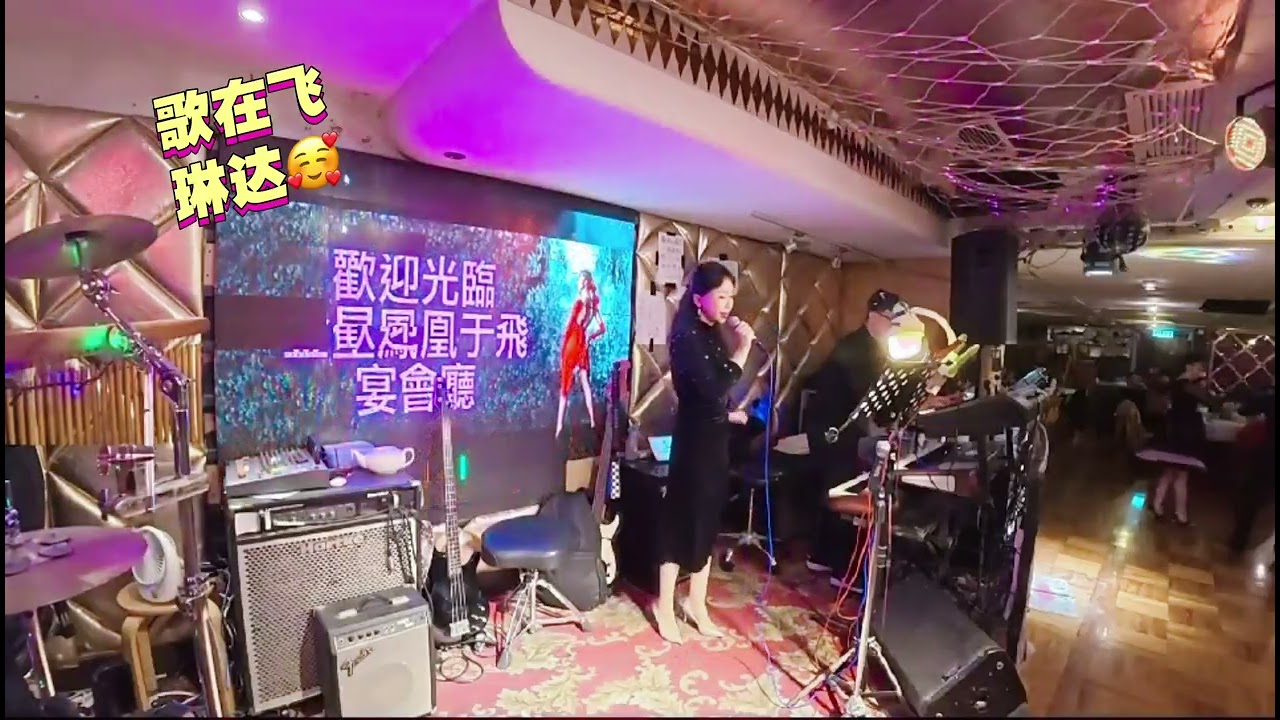 歌在飞