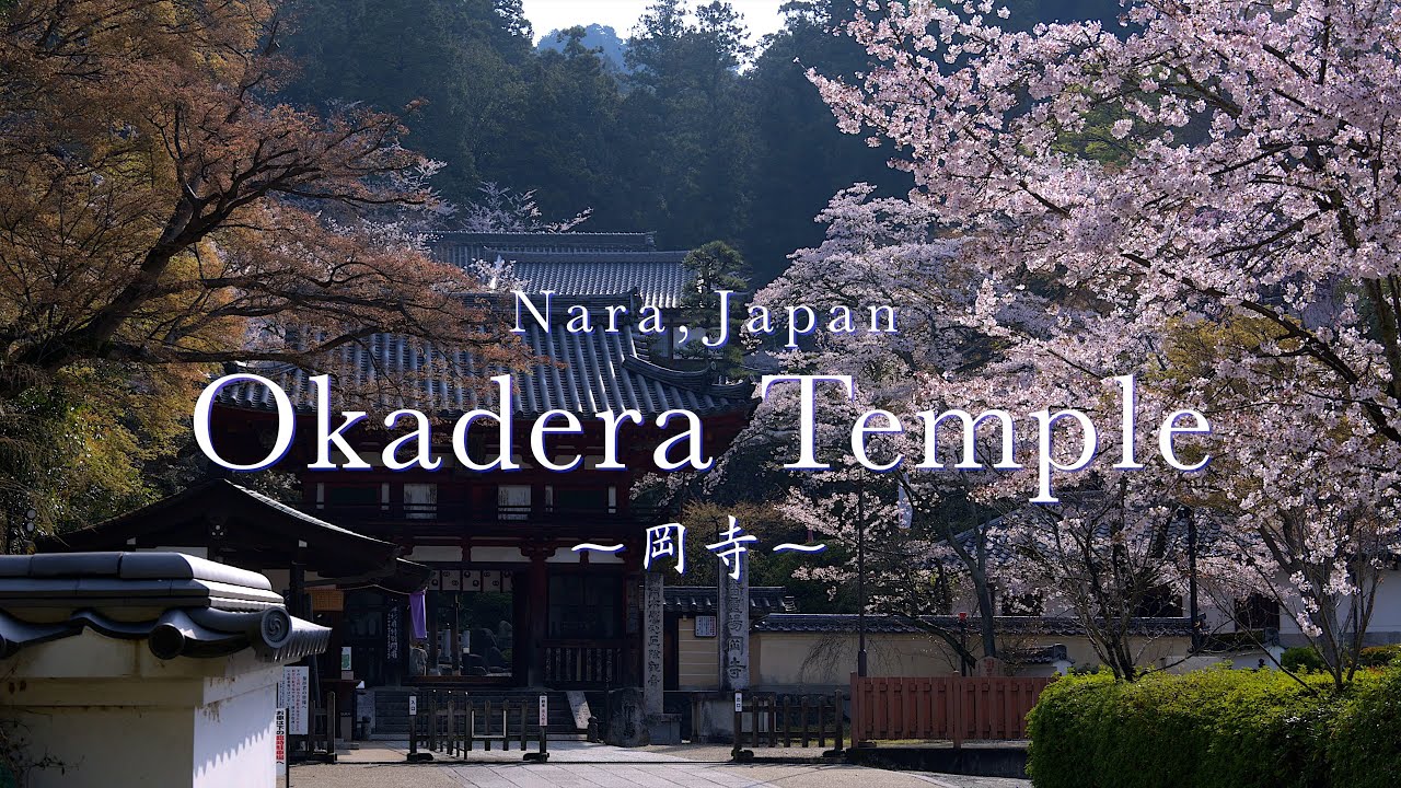 【奈良の絶景】明日香村 岡寺の春：Okadera Temple at Asuka Village in Spring