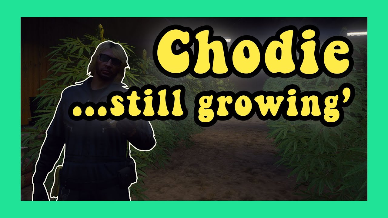 Chodie and Wayne - The birth of the weed SPOT LIST! NoPixel 3.0