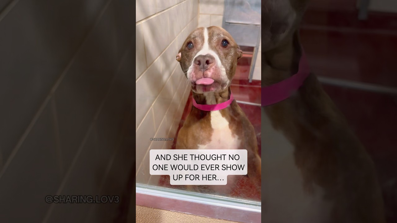 10-Year-Old Sweetie Watched Everyone Get Adopted… Until Today 🥹