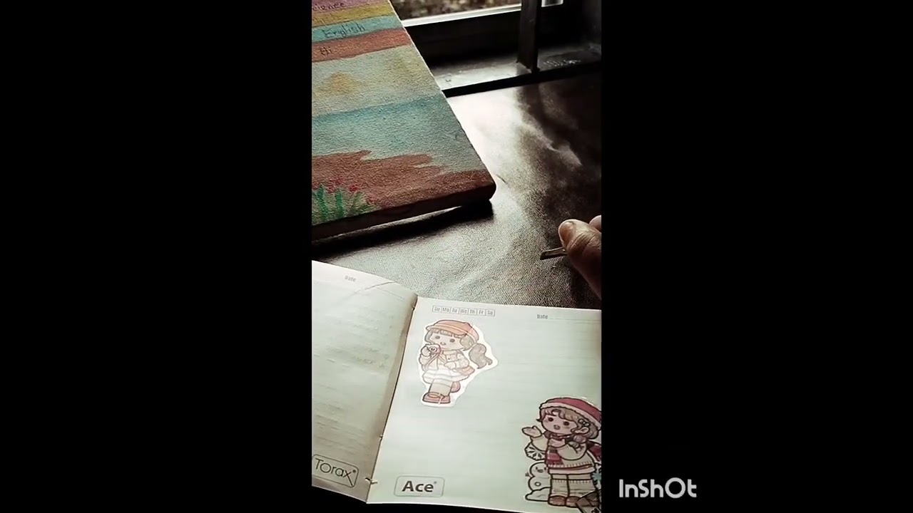 Aesthetic sticker journal with me.