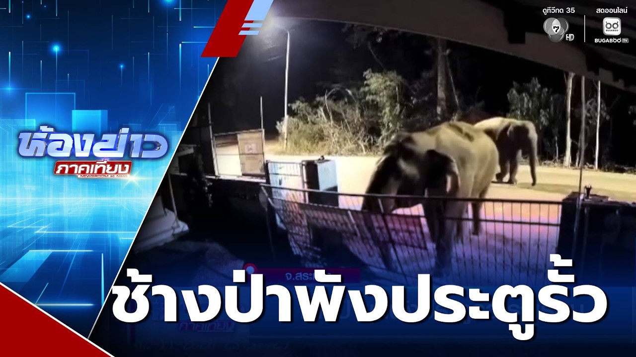 ช้างป่าบุกพังประตูรั้วโรงเรียน จ.สระแก้ว | ห้องข่าวภาคเที่ยง