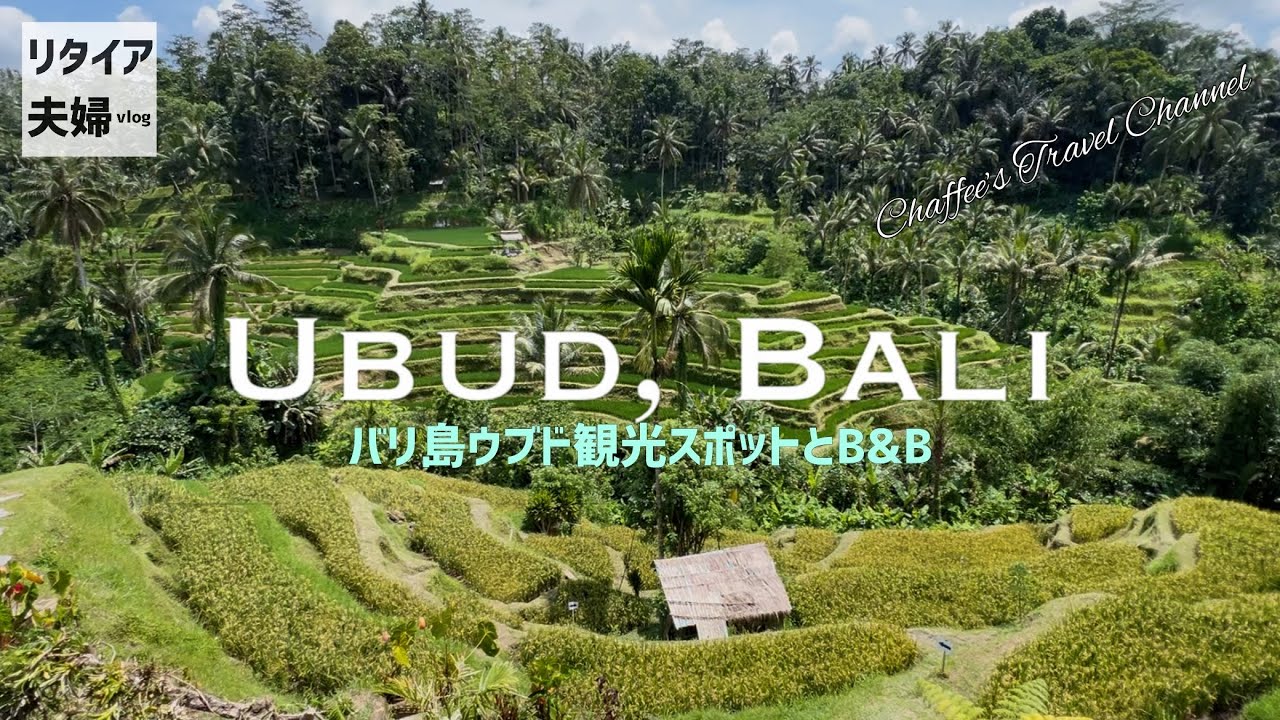 【バリ島ウブド】UBUD 観光 棚田 聖水寺 ゴアガジャ 《リタイア夫婦vlog》レゴンダンス バロンダンス B&B / CHAFFEE’S TRAVEL CHANNEL 