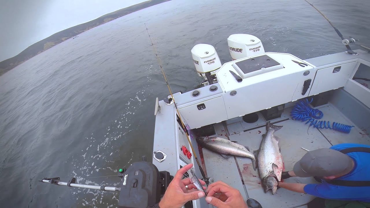 Gone Salmon Fishing