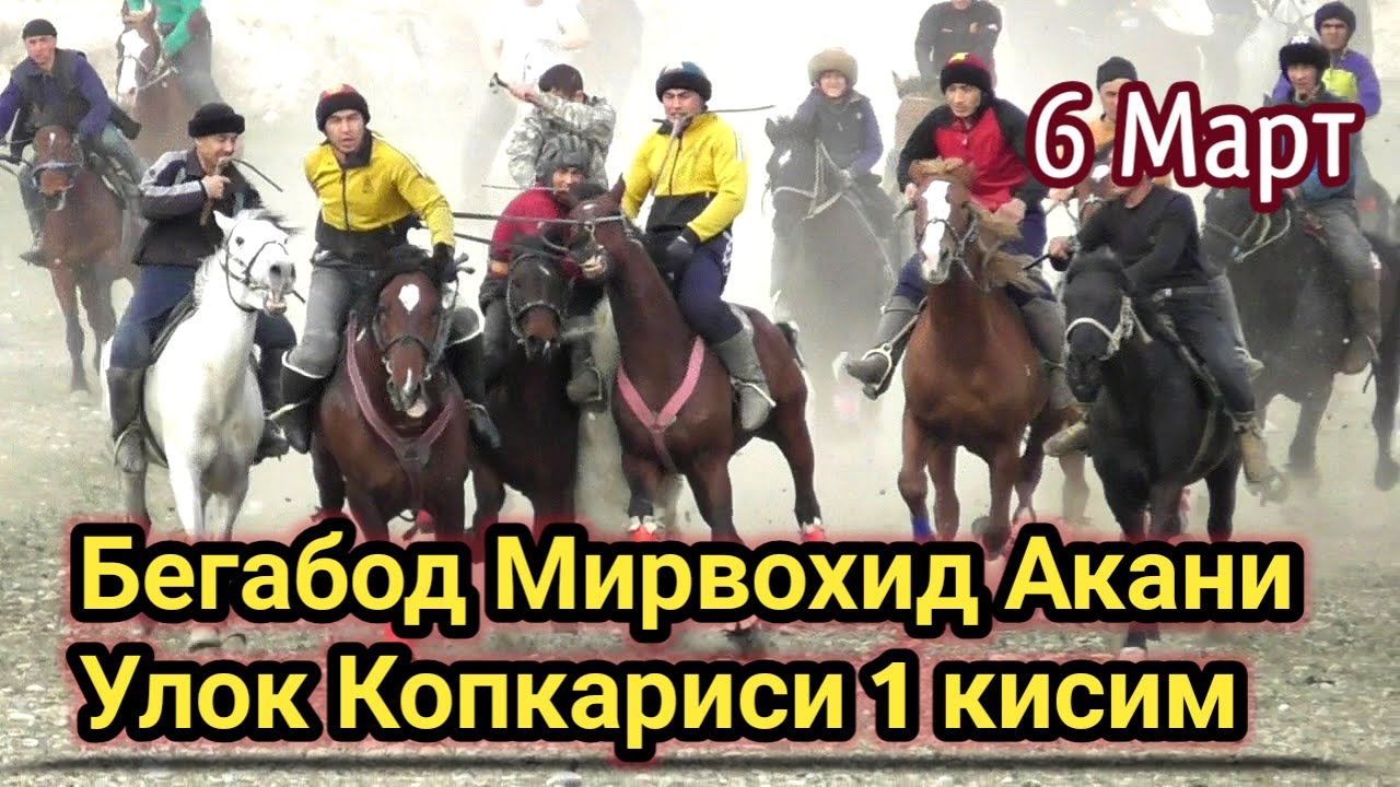 6 МАРТ НАМАНГАН ЯНГИ КОРГОН БЕГАБОД МИРВОХИД АКАНИ КАТТА УЛОК КОПКАРИСИ.#улок#Отлар#кокпар#жылкы#от
