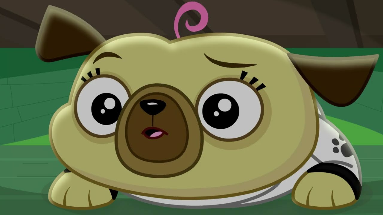 Adventure Begins! | Chip & Potato | Video for kids | WildBrain Zoo
