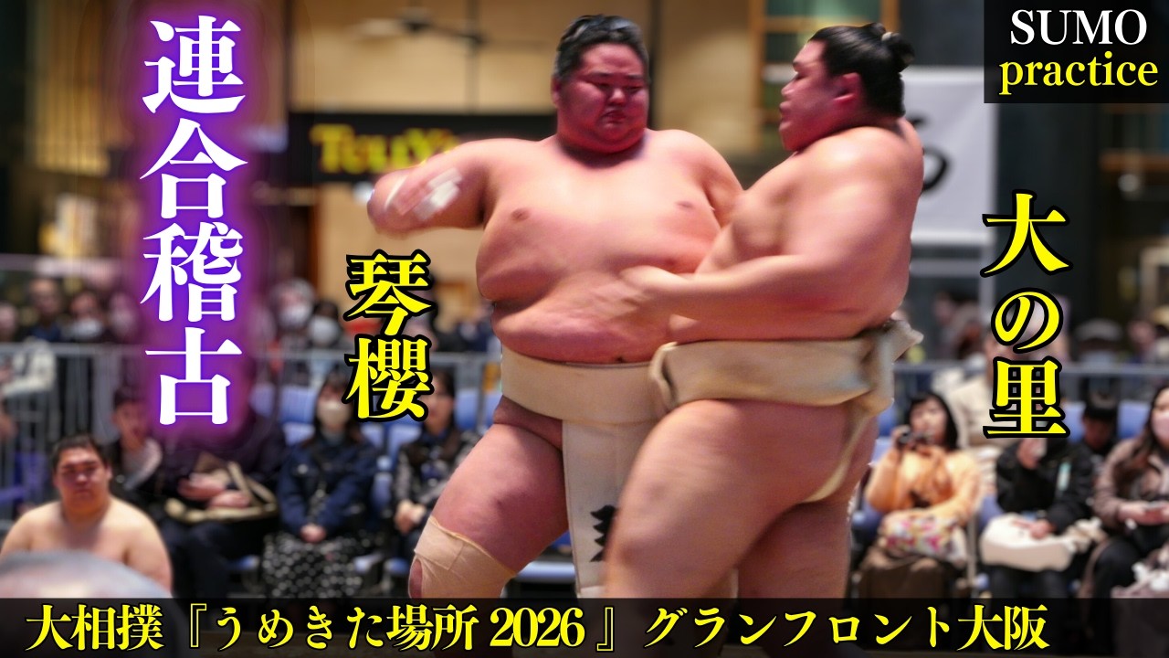 大の里と琴櫻が激しい三番稽古❗連合稽古/大相撲『うめきた場所 2026』 SUMO practice in OSAKA