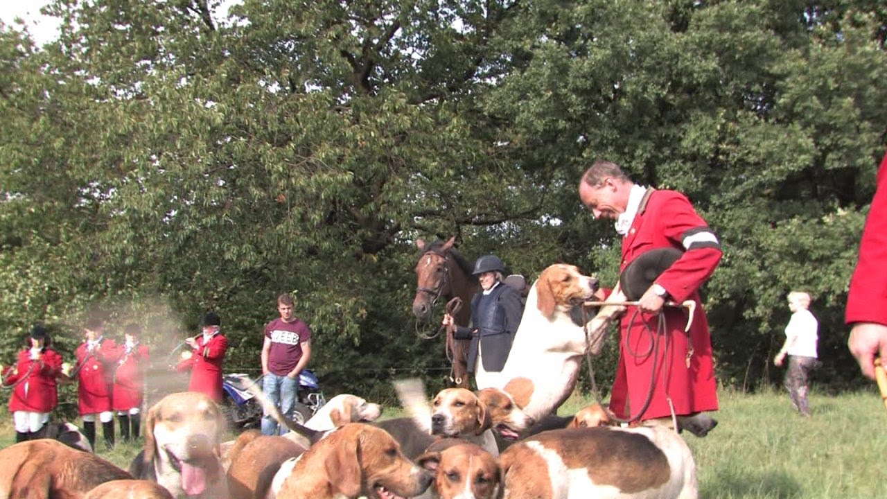 CAPPENBERGER MEUTE ERÖFFNUNGSJAGD 2013