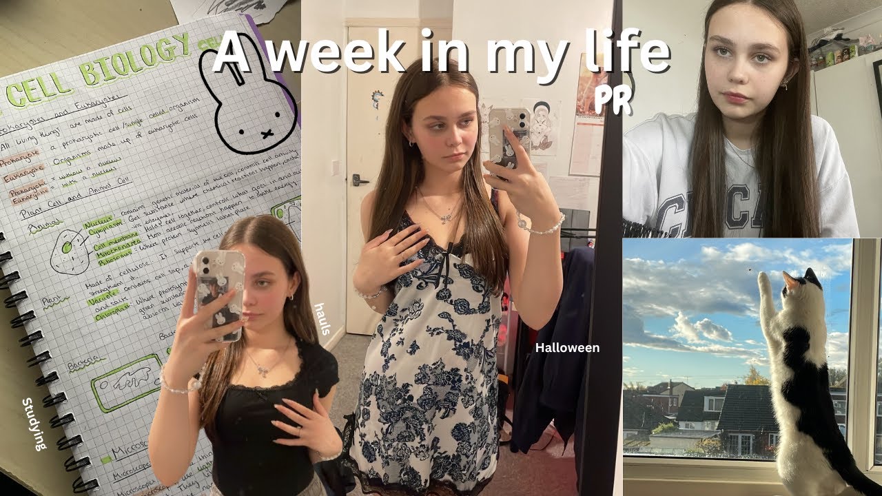 A week in my LIFE 🎀 YESSTYLE influencer + other sponsors 💫 STUDY + Halloween!