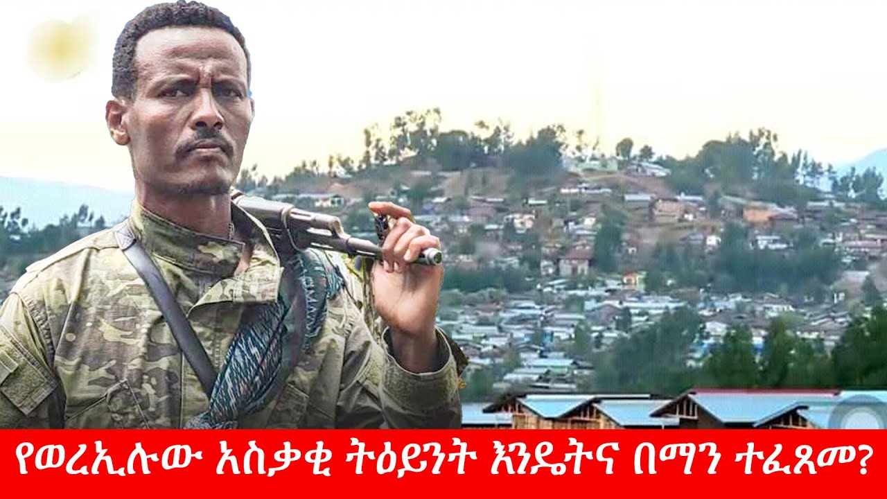 Anchor Special የወረኢሉው አስቃቂ ትዕይንት እንዴትና በማን ተፈጸመ?