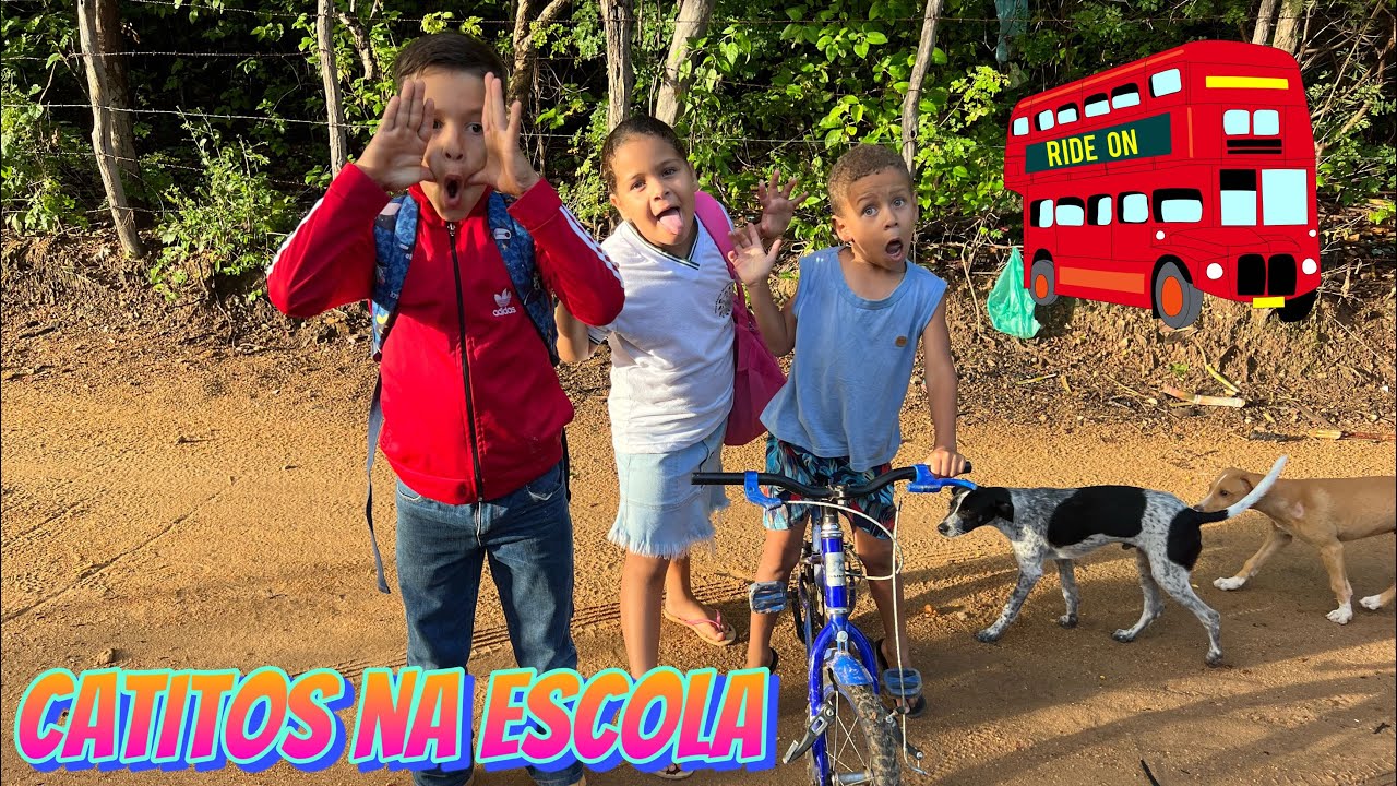 ACORDEI OS CATITOS 5 HORAS DA MANHÃ PARA IR PARA ESCOLA