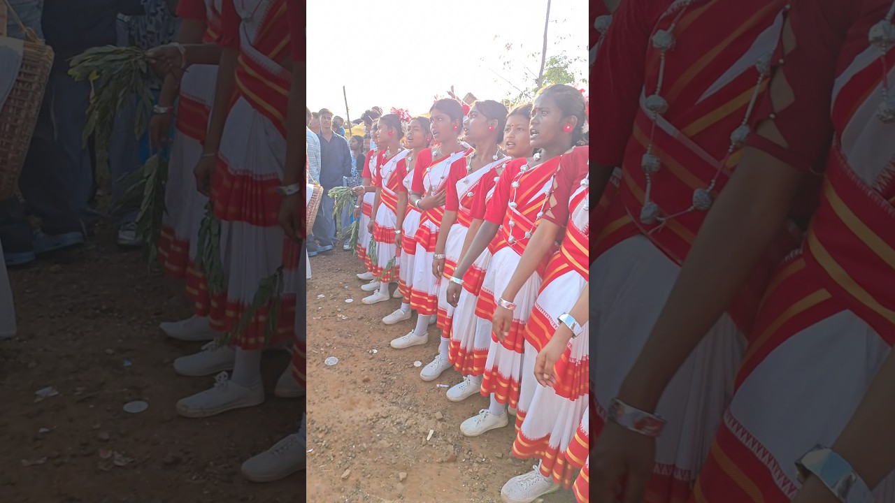 super amazing sarhul dance and song !! adivasi festival sarhul #sarhul #song #dance