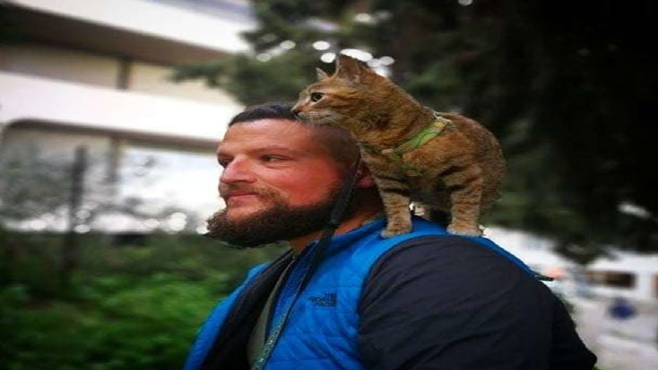 Scottish Man Travels The World On Bike With Stray Cat By His Side